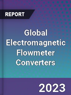 Global Electromagnetic Flowmeter Converters Market