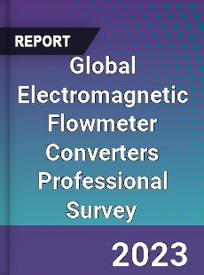 Global Electromagnetic Flowmeter Converters Professional Survey Report