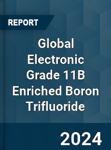 Global Electronic Grade 11B Enriched Boron Trifluoride Industry