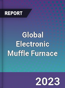 Global Electronic Muffle Furnace Industry