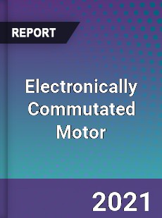 Global Electronically Commutated Motor Professional Survey Report