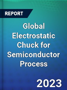 Global Electrostatic Chuck for Semiconductor Process Industry