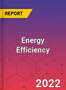 Global Energy Efficiency Market