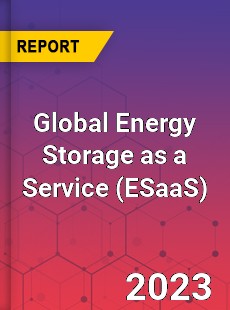 Global Energy Storage as a Service Industry