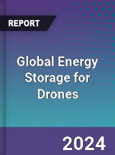 Global Energy Storage for Drones Market