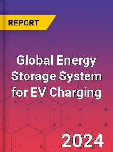 Global Energy Storage System for EV Charging Industry