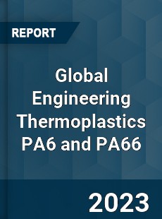 Global Engineering Thermoplastics PA6 and PA66 Industry