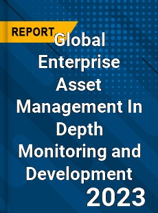 Global Enterprise Asset Management In Depth Monitoring and Development Analysis