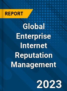 Global Enterprise Internet Reputation Management Industry