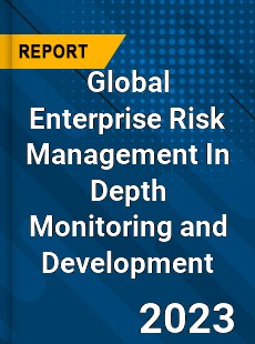 Global Enterprise Risk Management In Depth Monitoring and Development Analysis