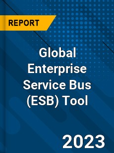 Global Enterprise Service Bus Tool Industry