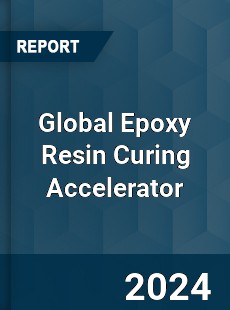 Global Epoxy Resin Curing Accelerator Industry