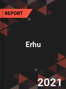 Global Erhu Professional Survey Report