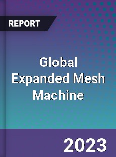 Global Expanded Mesh Machine Industry