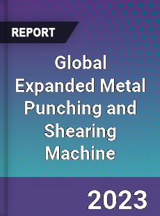 Global Expanded Metal Punching and Shearing Machine Industry