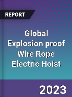 Global Explosion proof Wire Rope Electric Hoist Industry