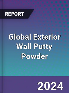 Global Exterior Wall Putty Powder Market