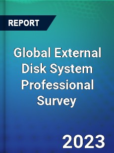 Global External Disk System Professional Survey Report