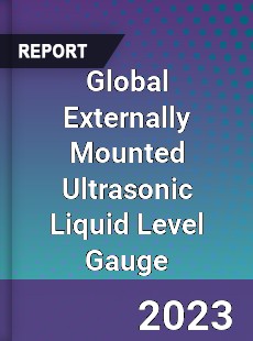 Global Externally Mounted Ultrasonic Liquid Level Gauge Industry