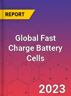 Global Fast Charge Battery Cells Industry