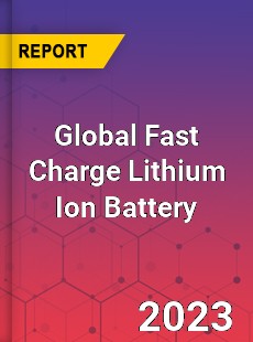 Global Fast Charge Lithium Ion Battery Industry