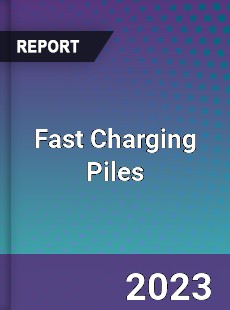 Global Fast Charging Piles Market