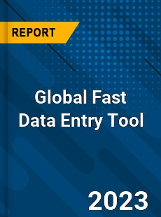 Global Fast Data Entry Tool Industry