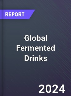 Global Fermented Drinks Market
