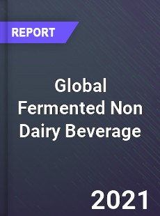 Global Fermented Non Dairy Beverage Market