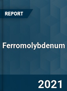 Global Ferromolybdenum Professional Survey Report