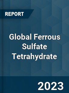 Global Ferrous Sulfate Tetrahydrate Industry