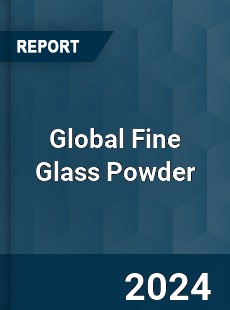 Global Fine Glass Powder Industry