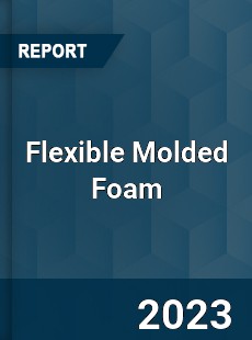 Global Flexible Molded Foam Market