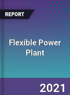 Global Flexible Power Plant Professional Survey Report