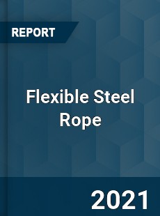 Global Flexible Steel Rope Professional Survey Report