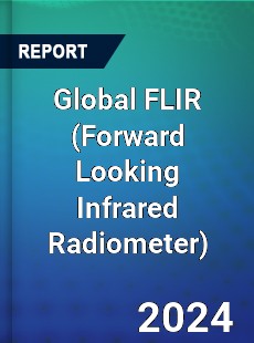 Global FLIR Industry