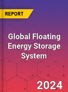 Global Floating Energy Storage System Industry