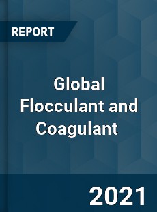 Global Flocculant and Coagulant Market