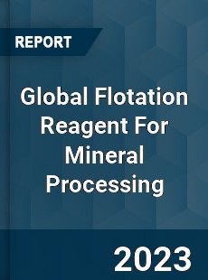 Global Flotation Reagent For Mineral Processing Industry