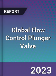 Global Flow Control Plunger Valve Industry