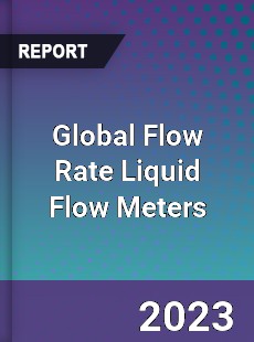 Global Flow Rate Liquid Flow Meters Industry