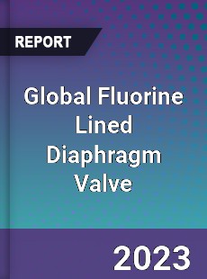 Global Fluorine Lined Diaphragm Valve Industry