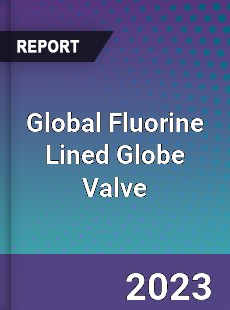 Global Fluorine Lined Globe Valve Industry