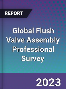 Global Flush Valve Assembly Professional Survey Report