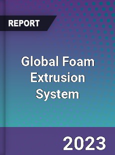 Global Foam Extrusion System Industry