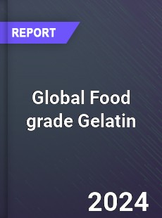 Global Food grade Gelatin Outlook