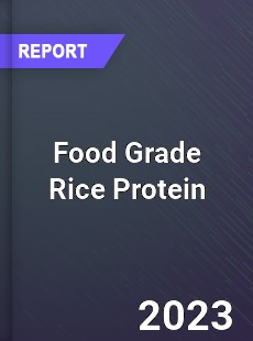 Global Food Grade Rice Protein Market