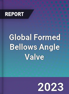 Global Formed Bellows Angle Valve Industry