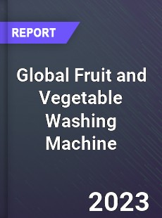 Global Fruit and Vegetable Washing Machine Market