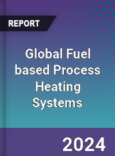 Global Fuel based Process Heating Systems Industry